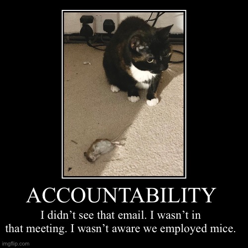 Accountability | ACCOUNTABILITY | I didn’t see that email. I wasn’t in that meeting. I wasn’t aware we employed mice. | image tagged in funny,demotivationals | made w/ Imgflip demotivational maker