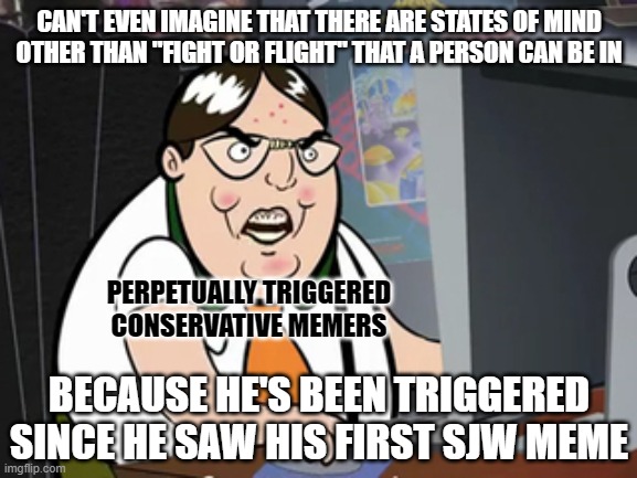 Ever wonder why some people treat everything in life like a fight for survival? In their triggered minds, everything is. | CAN'T EVEN IMAGINE THAT THERE ARE STATES OF MIND
OTHER THAN "FIGHT OR FLIGHT" THAT A PERSON CAN BE IN; PERPETUALLY TRIGGERED
CONSERVATIVE MEMERS; BECAUSE HE'S BEEN TRIGGERED SINCE HE SAW HIS FIRST SJW MEME | image tagged in raging nerd,memers,triggered,sjw,conservative logic,psychology | made w/ Imgflip meme maker