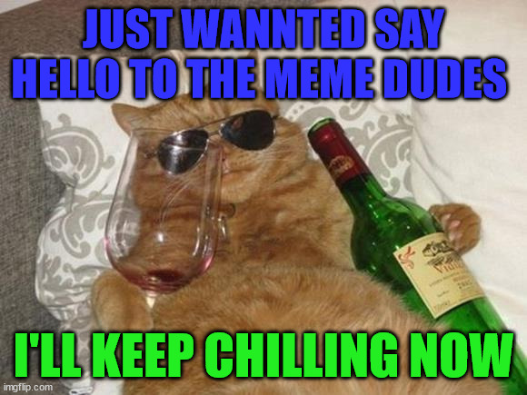 Funny Cat | JUST WANNTED SAY HELLO TO THE MEME DUDES; I'LL KEEP CHILLING NOW | image tagged in funny cat birthday,hello,memes,funny,happy birthday,relax | made w/ Imgflip meme maker