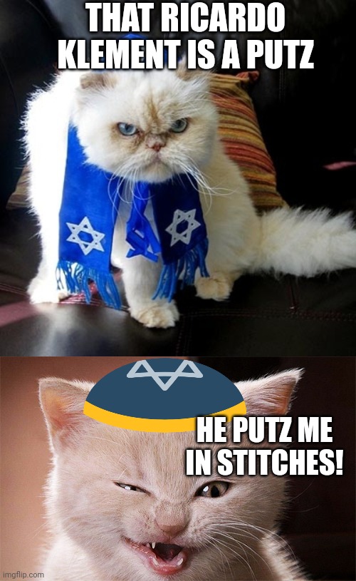 THAT RICARDO KLEMENT IS A PUTZ HE PUTZ ME IN STITCHES! | image tagged in jewish cat,laughing cat | made w/ Imgflip meme maker
