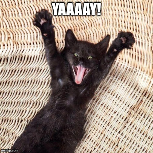 Happy cat  | YAAAAY! | image tagged in happy cat | made w/ Imgflip meme maker