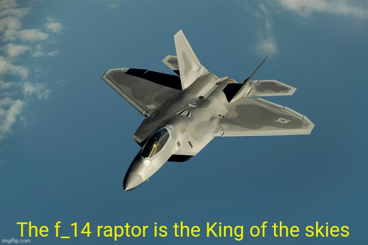 I have no idea | The f_14 raptor is the King of the skies | made w/ Imgflip meme maker