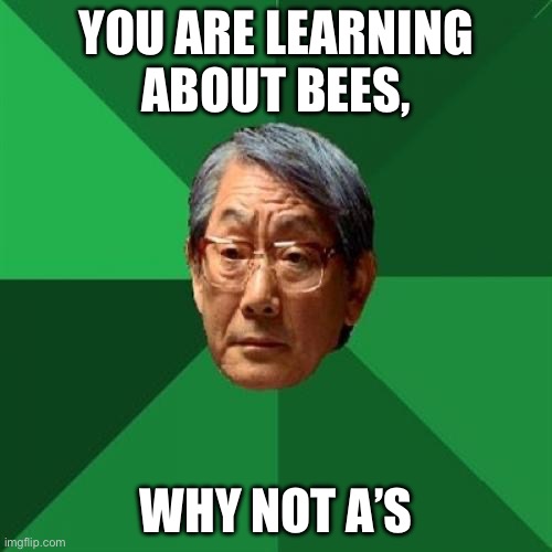 High Expectations Asian Father Meme | YOU ARE LEARNING ABOUT BEES, WHY NOT A’S | image tagged in memes,high expectations asian father | made w/ Imgflip meme maker