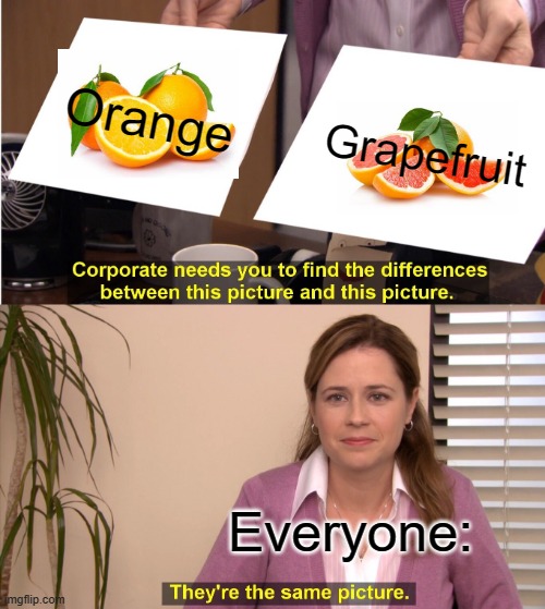 You can't tell the differents until you slice it... | Orange; Grapefruit; Everyone: | image tagged in they're the same picture,oh wow are you actually reading these tags,why are you reading the tags,but thats none of my business | made w/ Imgflip meme maker