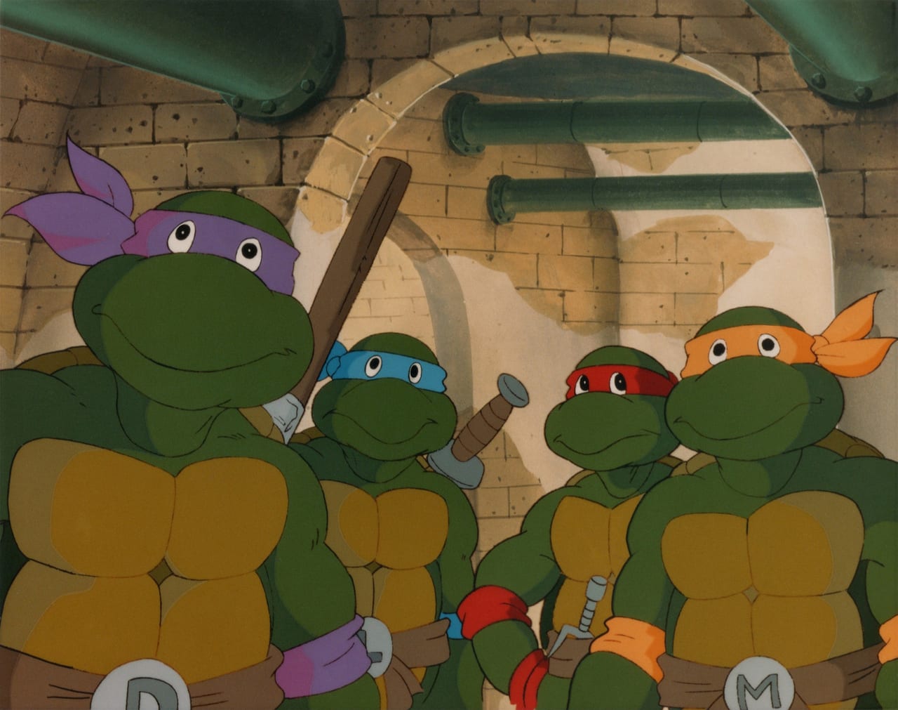 High Quality Cibai turtles Blank Meme Template