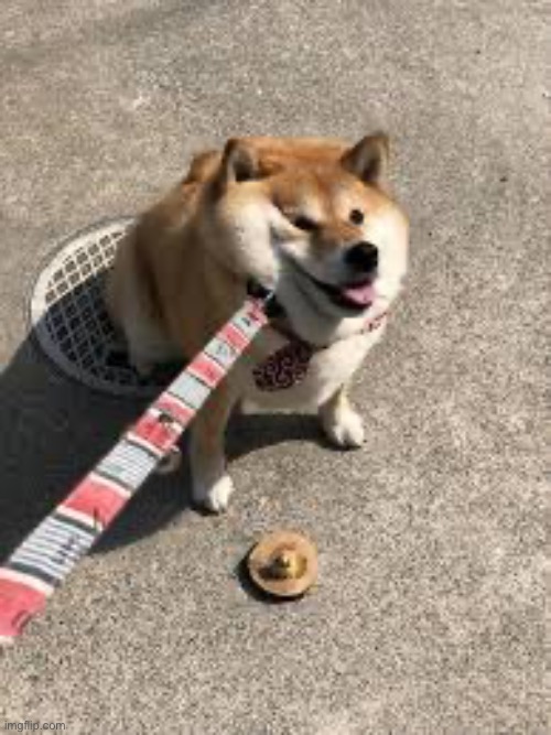 Squishy doggo leash | image tagged in squishy doggo leash | made w/ Imgflip meme maker