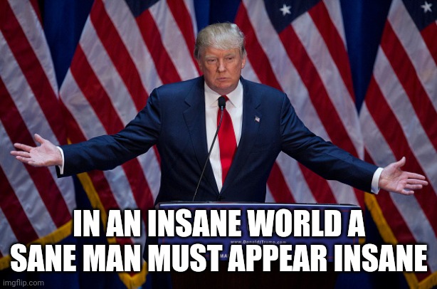 Donald Trump | IN AN INSANE WORLD A SANE MAN MUST APPEAR INSANE | image tagged in donald trump | made w/ Imgflip meme maker