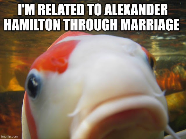 Koi | I'M RELATED TO ALEXANDER HAMILTON THROUGH MARRIAGE | image tagged in koi | made w/ Imgflip meme maker