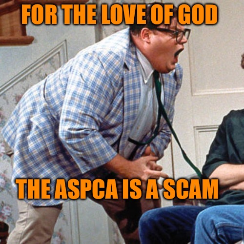 Chris Farley For the love of god | FOR THE LOVE OF GOD; THE ASPCA IS A SCAM | image tagged in chris farley for the love of god,memes,meme,scammers,animal rights,ripoff | made w/ Imgflip meme maker