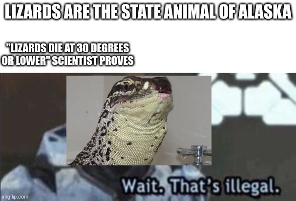 hol up | LIZARDS ARE THE STATE ANIMAL OF ALASKA; "LIZARDS DIE AT 30 DEGREES OR LOWER" SCIENTIST PROVES | image tagged in wait that's illegal | made w/ Imgflip meme maker