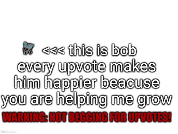 <<< this is bob; 🪰; every upvote makes him happier beacuse you are helping me grow; WARNING: NOT BEGGING FOR UPVOTES! | made w/ Imgflip meme maker