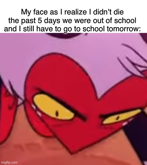 DAMNIT | My face as I realize I didn’t die the past 5 days we were out of school and I still have to go to school tomorrow: | image tagged in wawa | made w/ Imgflip meme maker