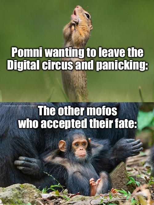 Wawa | Pomni wanting to leave the Digital circus and panicking:; The other mofos who accepted their fate: | image tagged in wawa | made w/ Imgflip meme maker