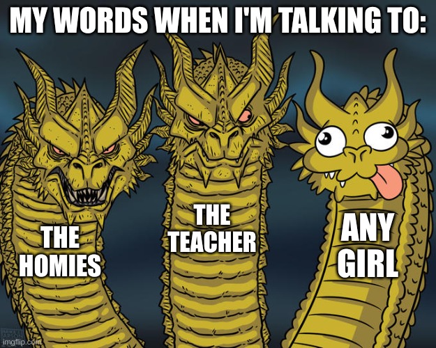 Three-headed Dragon | MY WORDS WHEN I'M TALKING TO:; THE TEACHER; ANY GIRL; THE HOMIES | image tagged in three-headed dragon | made w/ Imgflip meme maker
