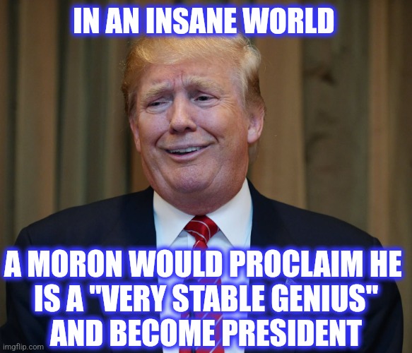 Trump the Idiot  | IN AN INSANE WORLD A MORON WOULD PROCLAIM HE 
IS A "VERY STABLE GENIUS"
AND BECOME PRESIDENT | image tagged in trump the idiot | made w/ Imgflip meme maker
