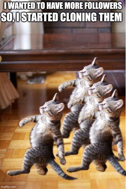 4 cat follow go back | I WANTED TO HAVE MORE FOLLOWERS; SO, I STARTED CLONING THEM | image tagged in 4 cat follow go back | made w/ Imgflip meme maker