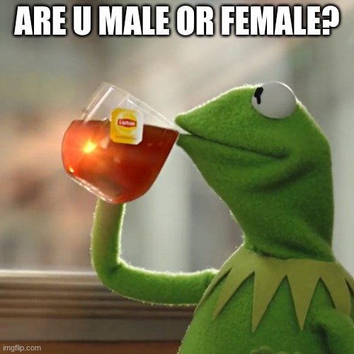 But That's None Of My Business | ARE U MALE OR FEMALE? | image tagged in memes,but that's none of my business,kermit the frog | made w/ Imgflip meme maker