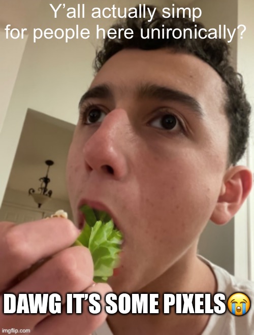 ObiWON lettuce | Y’all actually simp for people here unironically? DAWG IT’S SOME PIXELS😭 | image tagged in obiwon lettuce | made w/ Imgflip meme maker