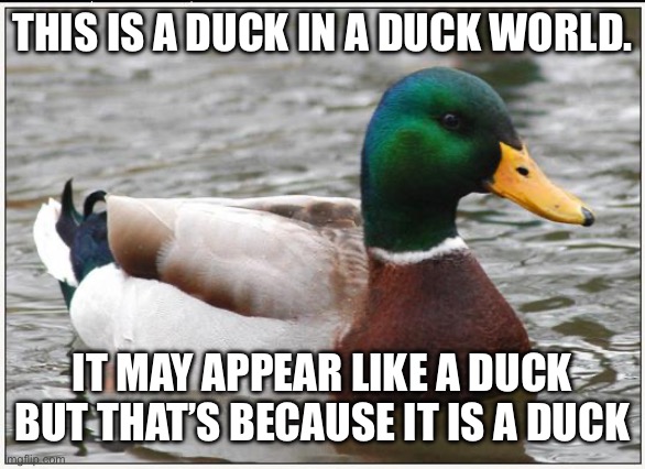 Actual Advice Mallard Meme | THIS IS A DUCK IN A DUCK WORLD. IT MAY APPEAR LIKE A DUCK BUT THAT’S BECAUSE IT IS A DUCK | image tagged in memes,actual advice mallard | made w/ Imgflip meme maker