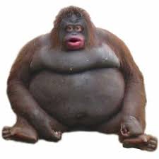 monke Blank Meme Template