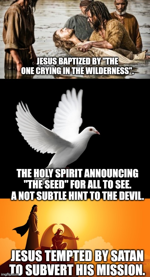 JESUS BAPTIZED BY "THE ONE CRYING IN THE WILDERNESS". THE HOLY SPIRIT ANNOUNCING "THE SEED" FOR ALL TO SEE. A NOT SUBTLE HINT TO THE DEVIL. JESUS TEMPTED BY SATAN TO SUBVERT HIS MISSION. | image tagged in jesus baptized,dove pigeon love peace happiness,jesus tempted | made w/ Imgflip meme maker