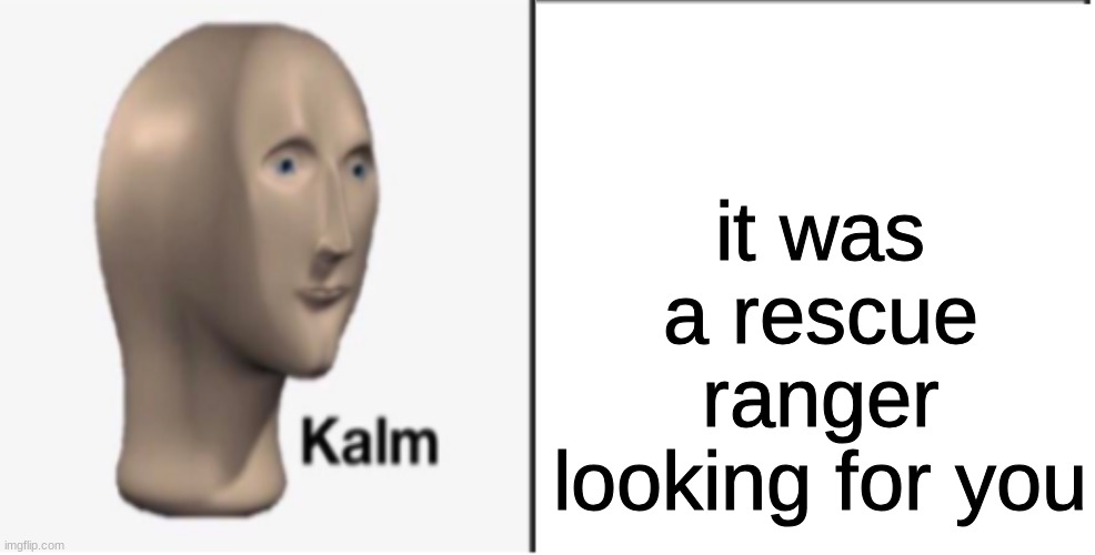 Just Kalm. | it was a rescue ranger looking for you | image tagged in just kalm | made w/ Imgflip meme maker