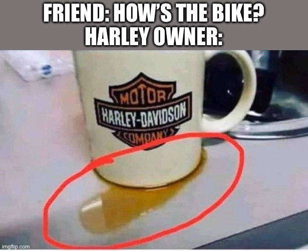 Harley | FRIEND: HOW’S THE BIKE?
HARLEY OWNER: | image tagged in harley davidson,oil,coffee cup | made w/ Imgflip meme maker