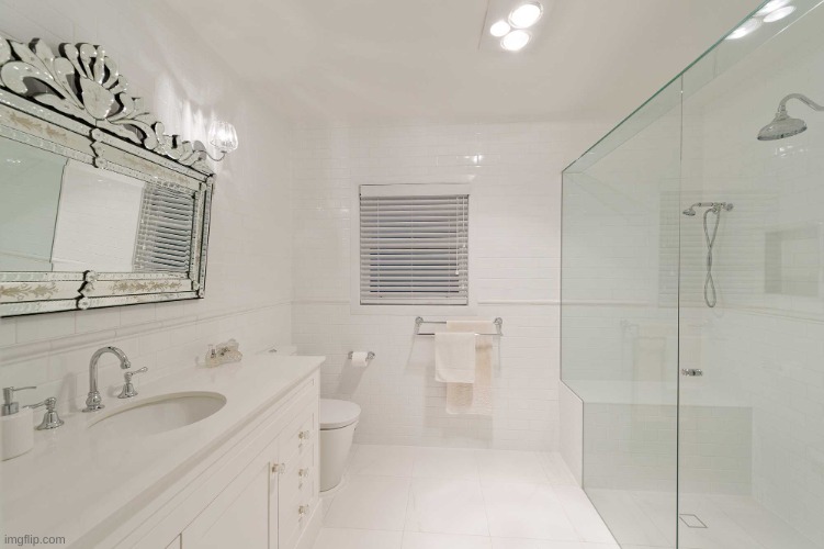 Brisbane Bathroom Renovation | image tagged in brisbane bathroom renovation | made w/ Imgflip meme maker