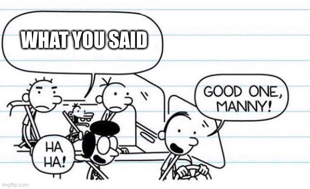 good one manny | WHAT YOU SAID | image tagged in good one manny | made w/ Imgflip meme maker