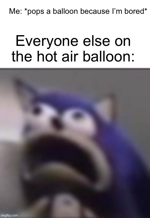 We’re going on a trip | Me: *pops a balloon because I’m bored*; Everyone else on the hot air balloon: | image tagged in distress,sonic,hot air balloon | made w/ Imgflip meme maker