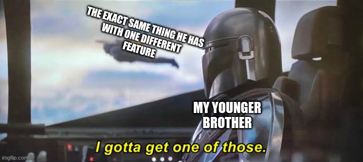 Too true | THE EXACT SAME THING HE HAS
WITH ONE DIFFERENT 
FEATURE; MY YOUNGER BROTHER | image tagged in i gotta get one of those correct text boxes | made w/ Imgflip meme maker