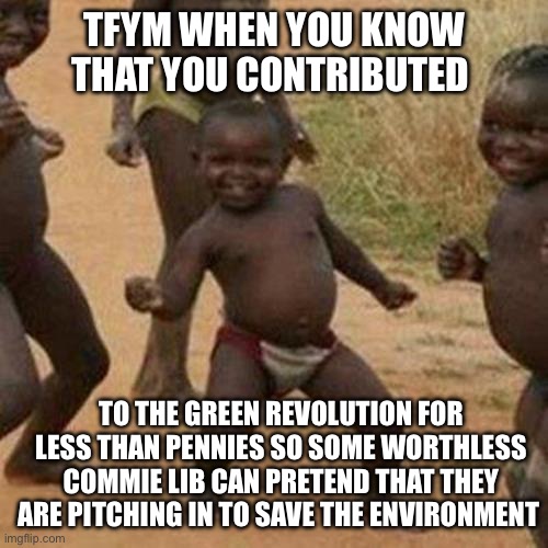 Third World Success Kid | TFYM WHEN YOU KNOW THAT YOU CONTRIBUTED; TO THE GREEN REVOLUTION FOR LESS THAN PENNIES SO SOME WORTHLESS COMMIE LIB CAN PRETEND THAT THEY ARE PITCHING IN TO SAVE THE ENVIRONMENT | image tagged in memes,third world success kid,going green,lithium miners | made w/ Imgflip meme maker