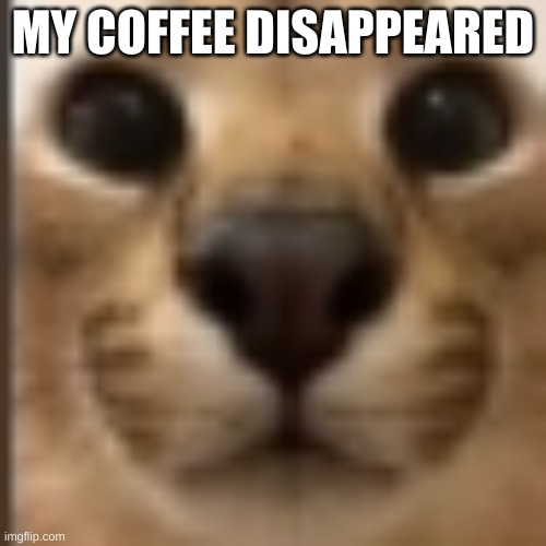 ☕ | MY COFFEE DISAPPEARED | image tagged in whar | made w/ Imgflip meme maker