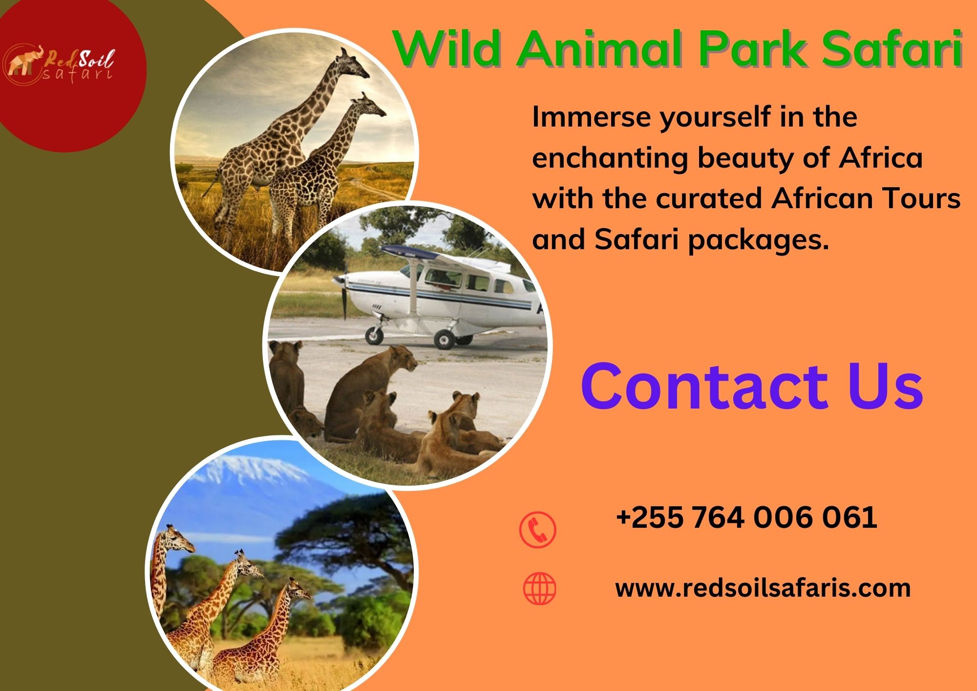 Wild Animal Park Safari Blank Meme Template