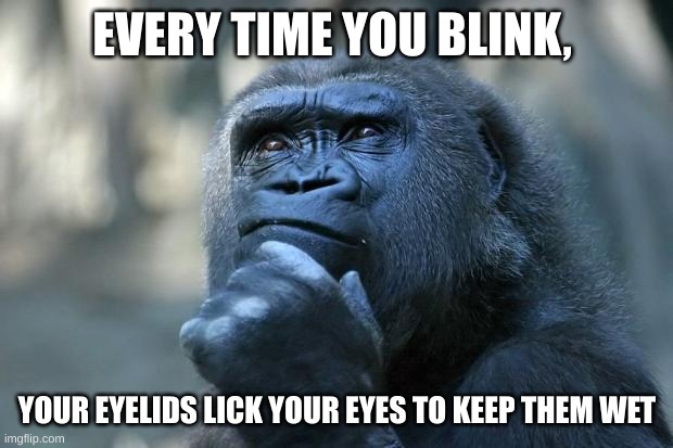 Deep Thoughts | EVERY TIME YOU BLINK, YOUR EYELIDS LICK YOUR EYES TO KEEP THEM WET | image tagged in deep thoughts | made w/ Imgflip meme maker