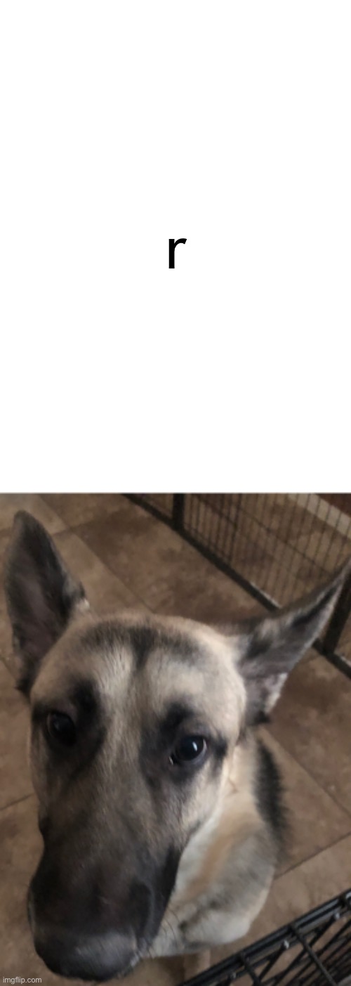 r | made w/ Imgflip meme maker