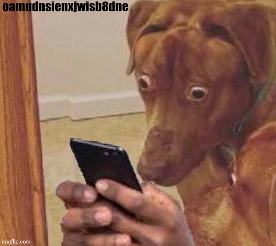 shocked dog | oamudnsienxjwisb8dne | image tagged in shocked dog | made w/ Imgflip meme maker