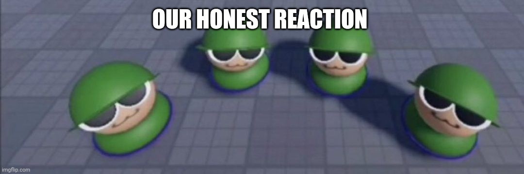 Brobgonal council | OUR HONEST REACTION | image tagged in brobgonal council | made w/ Imgflip meme maker