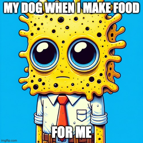 my dog when i get food | MY DOG WHEN I MAKE FOOD; FOR ME | image tagged in is for me,memes,funny memes | made w/ Imgflip meme maker