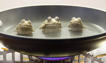 High Quality frogs boiling Blank Meme Template