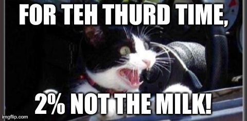 Cheezburger Cat | FOR TEH THURD TIME, 2% NOT THE MILK! | image tagged in cheezburger cat | made w/ Imgflip meme maker