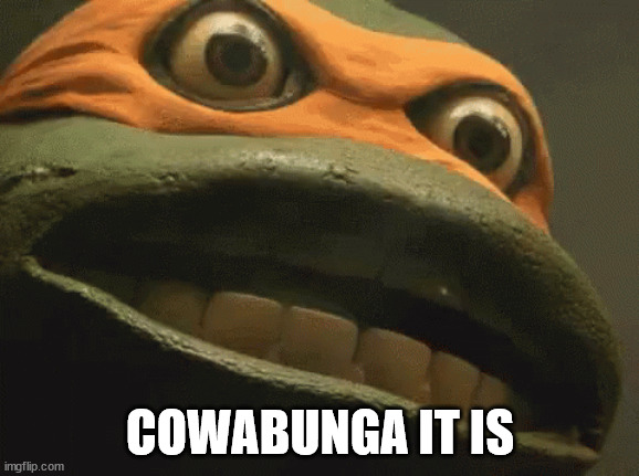 Michelangelo Cowabunga It Is (no text) | COWABUNGA IT IS | image tagged in michelangelo cowabunga it is no text | made w/ Imgflip meme maker