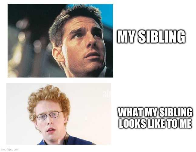 What siblings look like | MY SIBLING; WHAT MY SIBLING LOOKS LIKE TO ME | image tagged in siblings | made w/ Imgflip meme maker