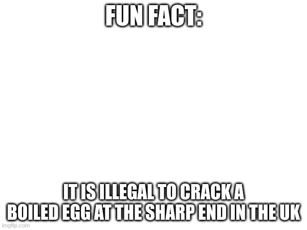 FUN FACT:; IT IS ILLEGAL TO CRACK A BOILED EGG AT THE SHARP END IN THE UK | made w/ Imgflip meme maker