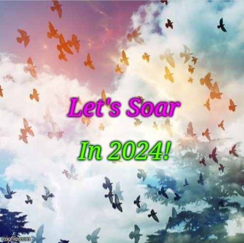 Let's Soar in 2024! | Let's Soar; In 2024! | image tagged in soar,motivational,inspirational | made w/ Imgflip meme maker