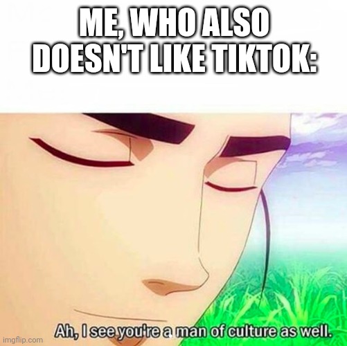 Ah,I see you are a man of culture as well | ME, WHO ALSO DOESN'T LIKE TIKTOK: | image tagged in ah i see you are a man of culture as well | made w/ Imgflip meme maker