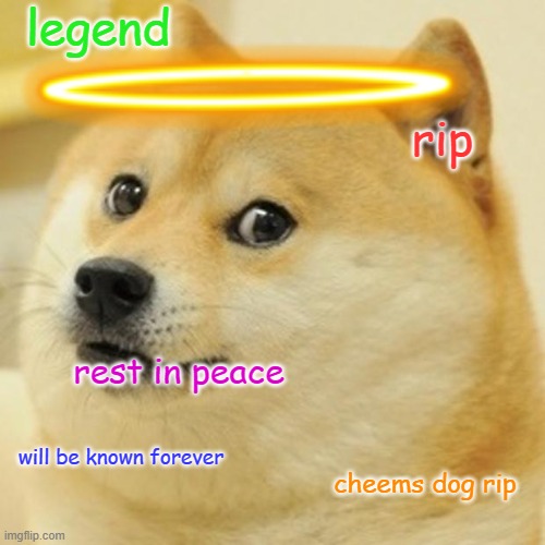 ik it happened in august but it has but 5 months without the legend | legend; rip; rest in peace; will be known forever; cheems dog rip | image tagged in memes,doge | made w/ Imgflip meme maker