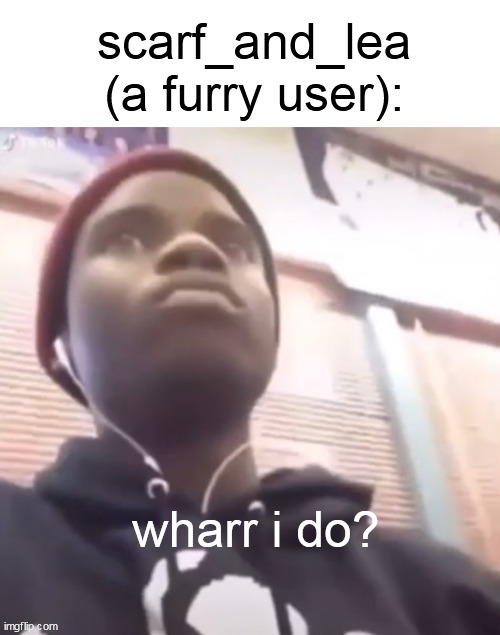 Wharra do | wharr i do? scarf_and_lea (a furry user): | image tagged in wharra do | made w/ Imgflip meme maker