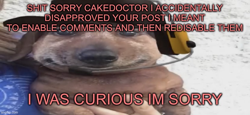 anyways good morning | SHIT SORRY CAKEDOCTOR I ACCIDENTALLY DISAPPROVED YOUR POST I MEANT TO ENABLE COMMENTS AND THEN REDISABLE THEM; I WAS CURIOUS IM SORRY | image tagged in chucklenuts | made w/ Imgflip meme maker