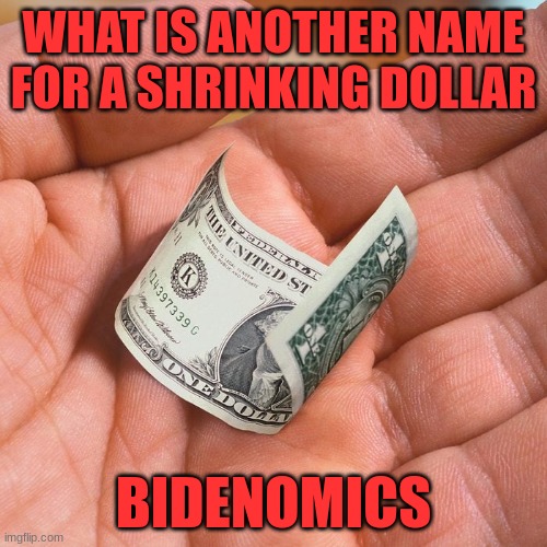 Bidenomics | WHAT IS ANOTHER NAME FOR A SHRINKING DOLLAR; BIDENOMICS | image tagged in politics,inflation | made w/ Imgflip meme maker